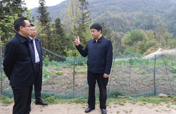 平昌县委书记蒲开文带队调研督导森林防灭火工作_巴中